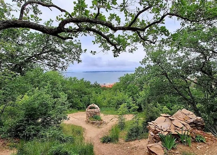 M * Свети Влас