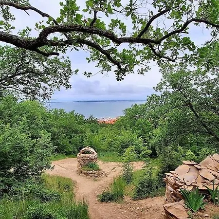 M * סבטי ולאס